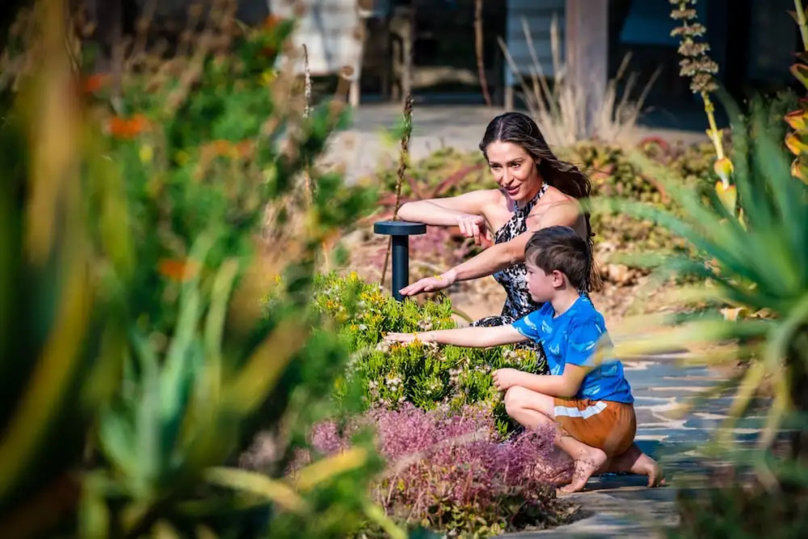 Zulu Rock Game Ranch