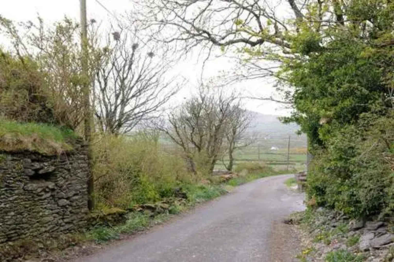 Griffins Holiday Cottage