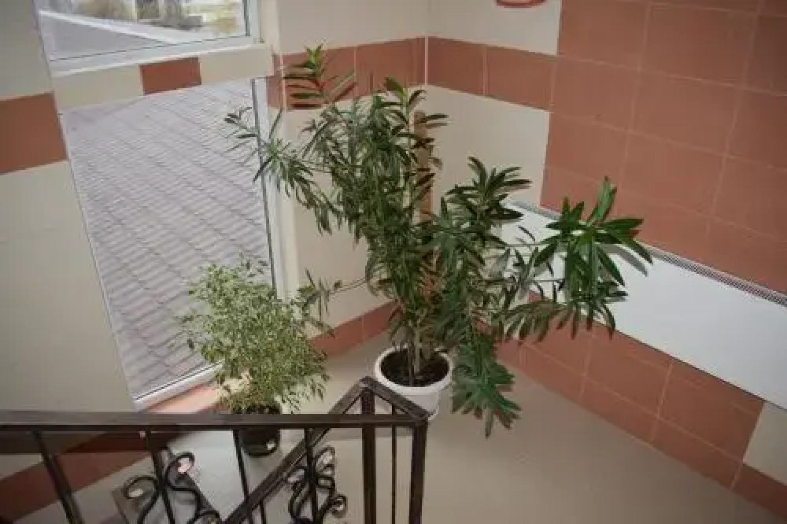 Mini Hotel On Chapayeva 3