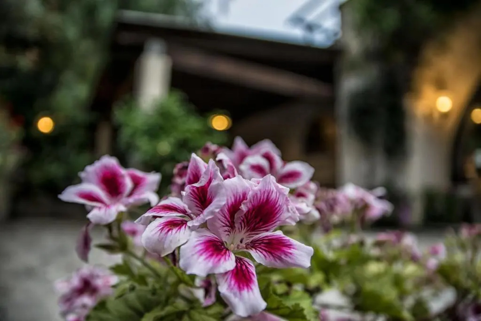 Albergo Masseria Gattamora