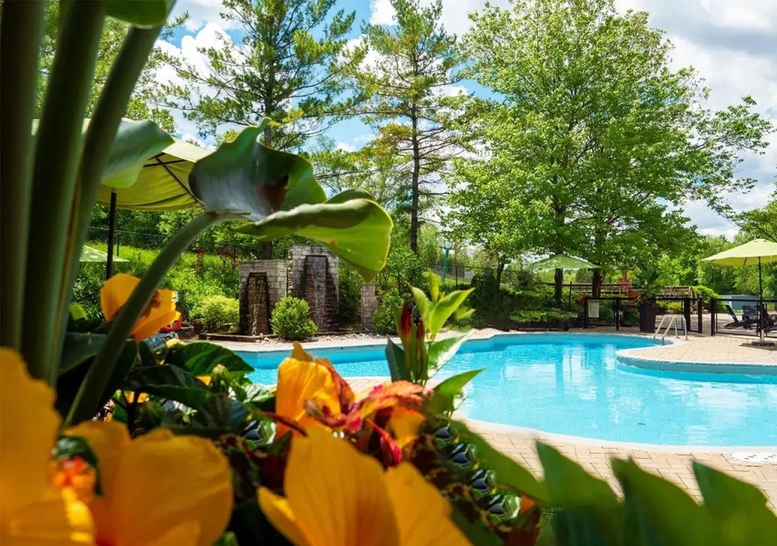 Hockley Valley Resort