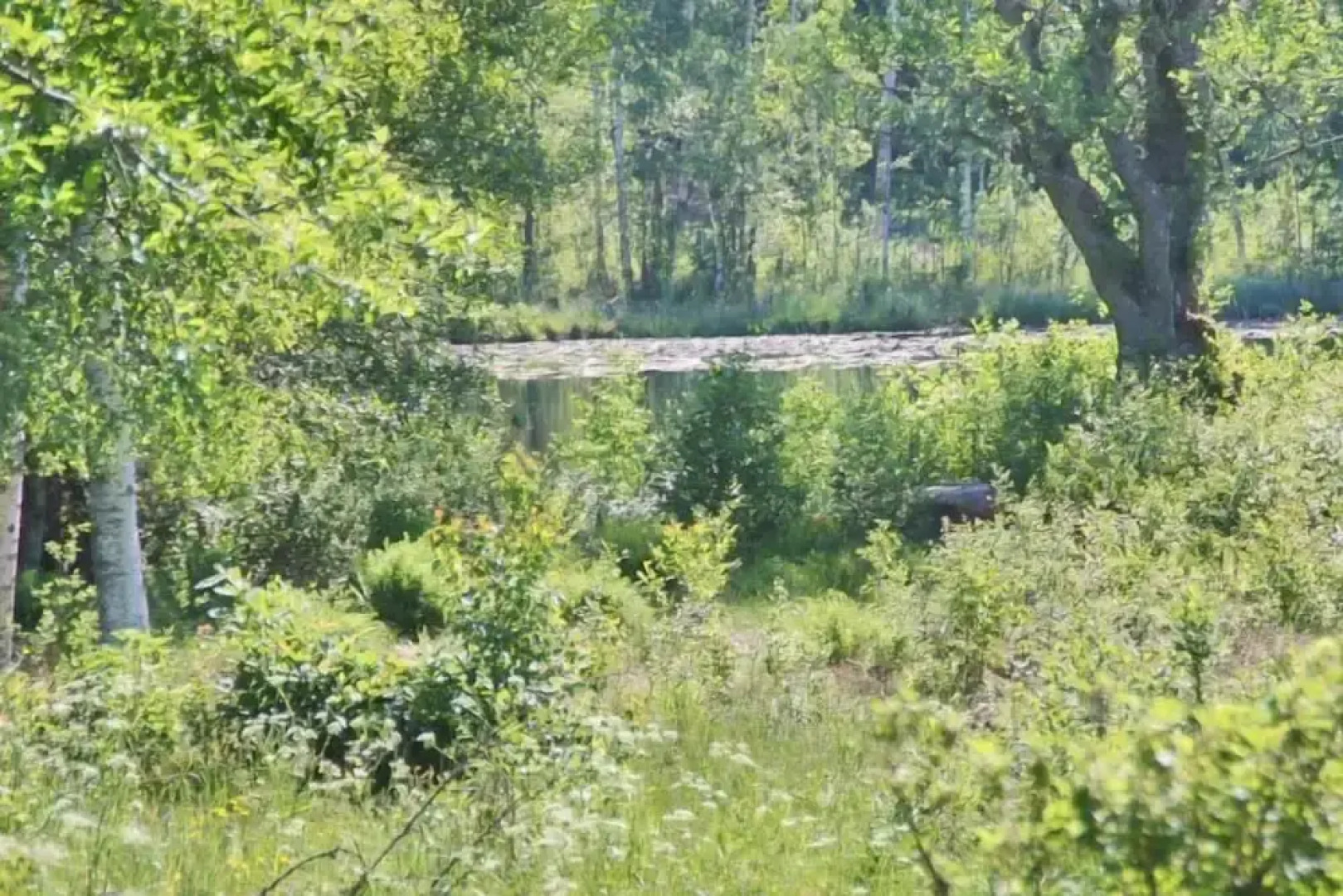 Holiday home Törnamåla Kilen