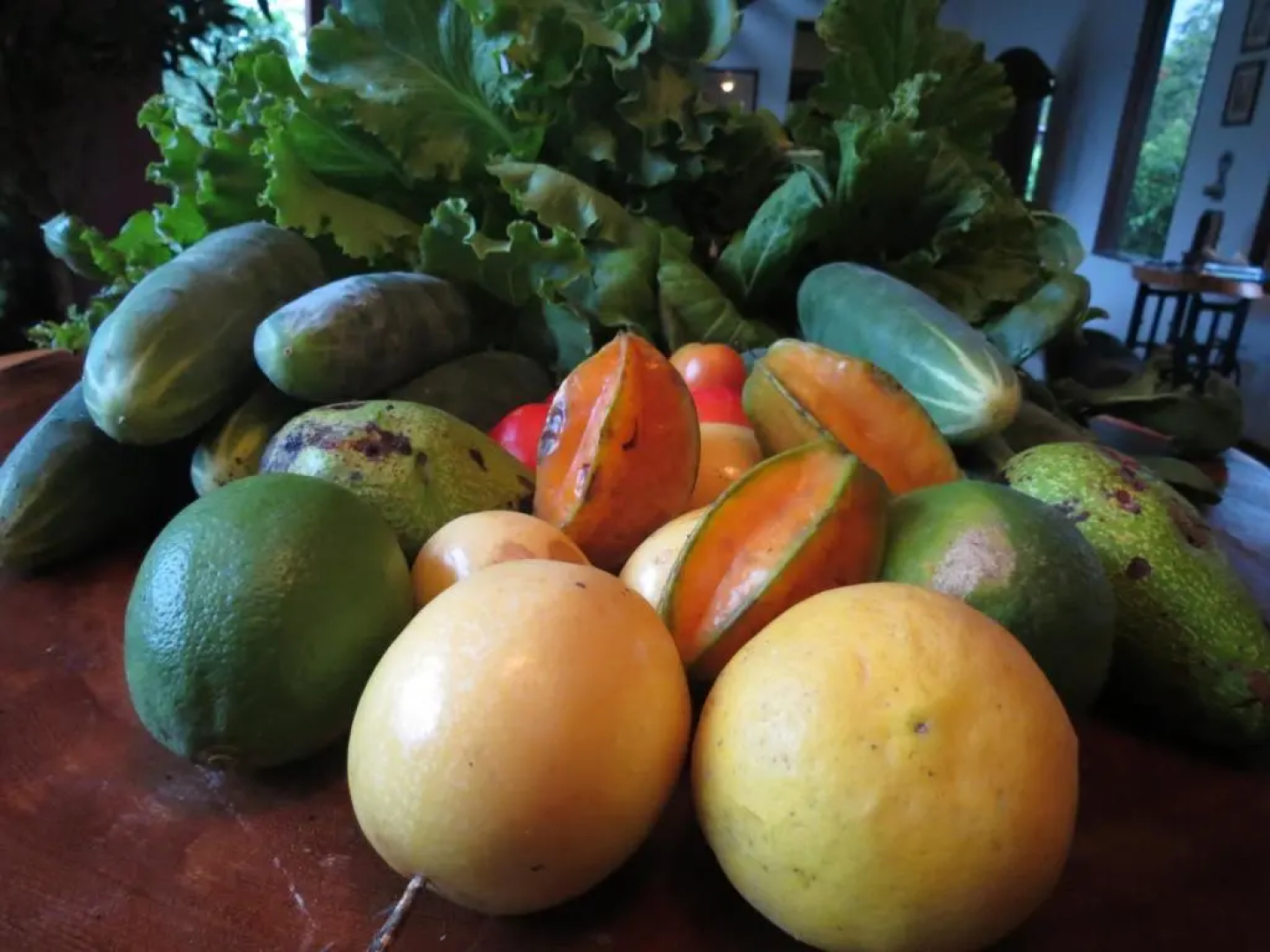 Vocaré Agroecoturismo