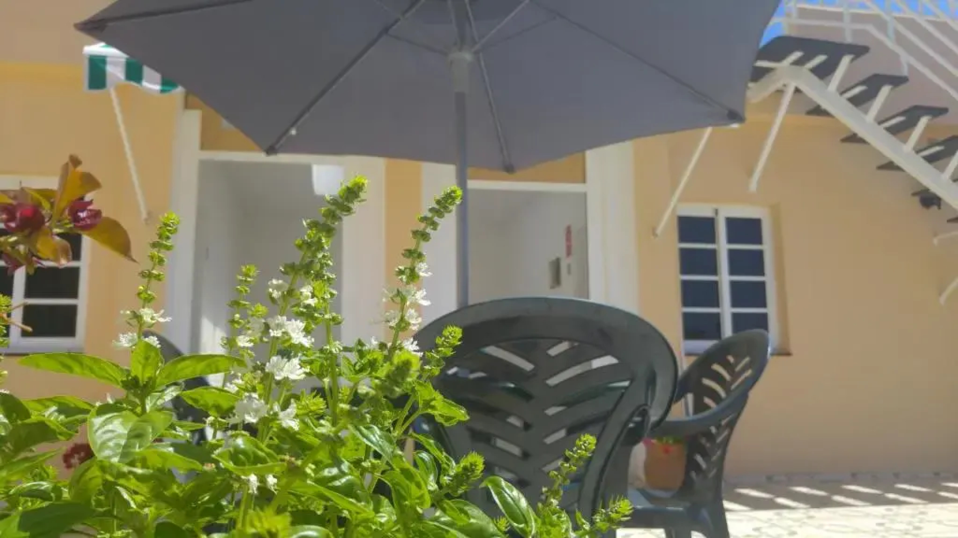 Apartamentos Martell