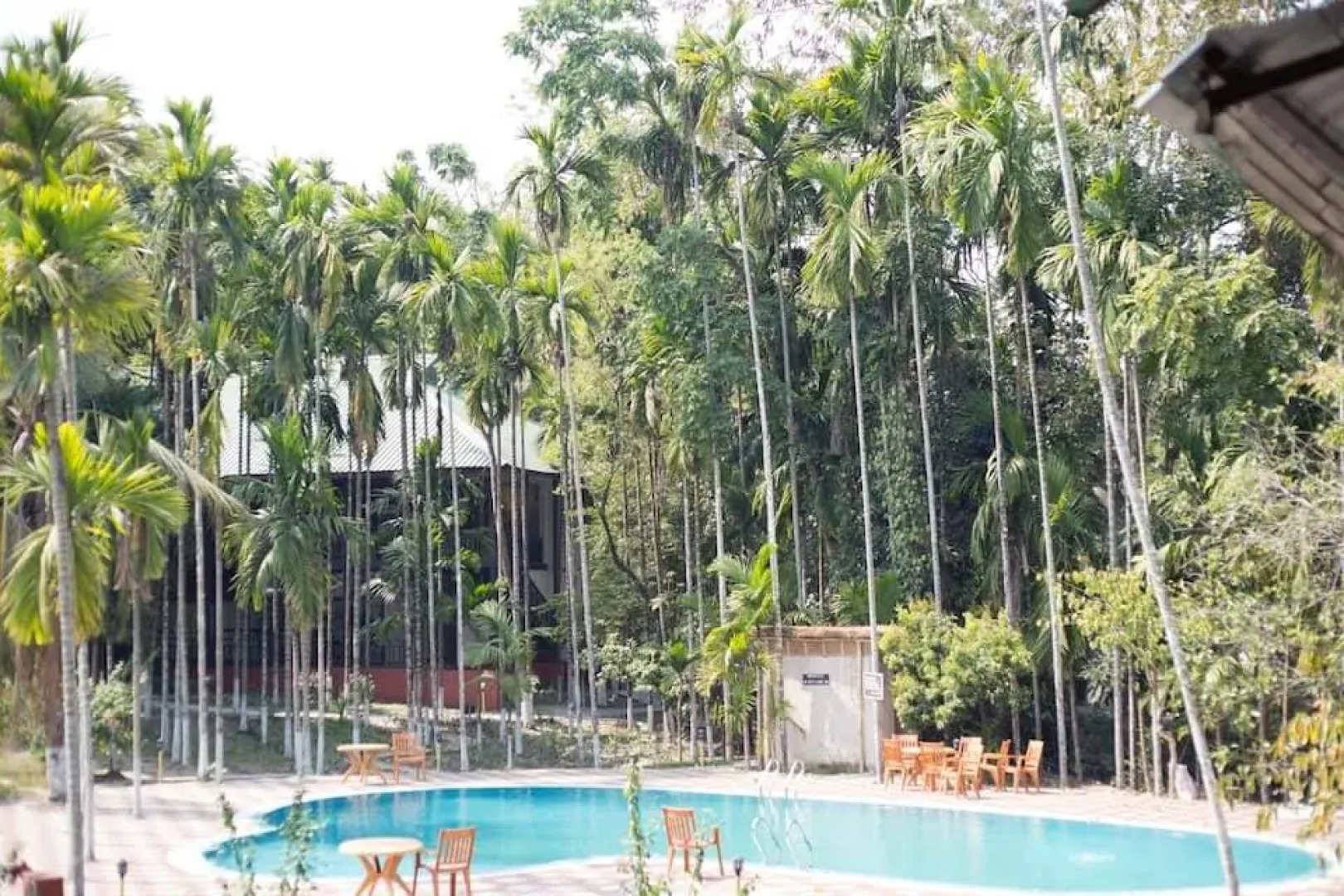 Infinity Resort Kaziranga