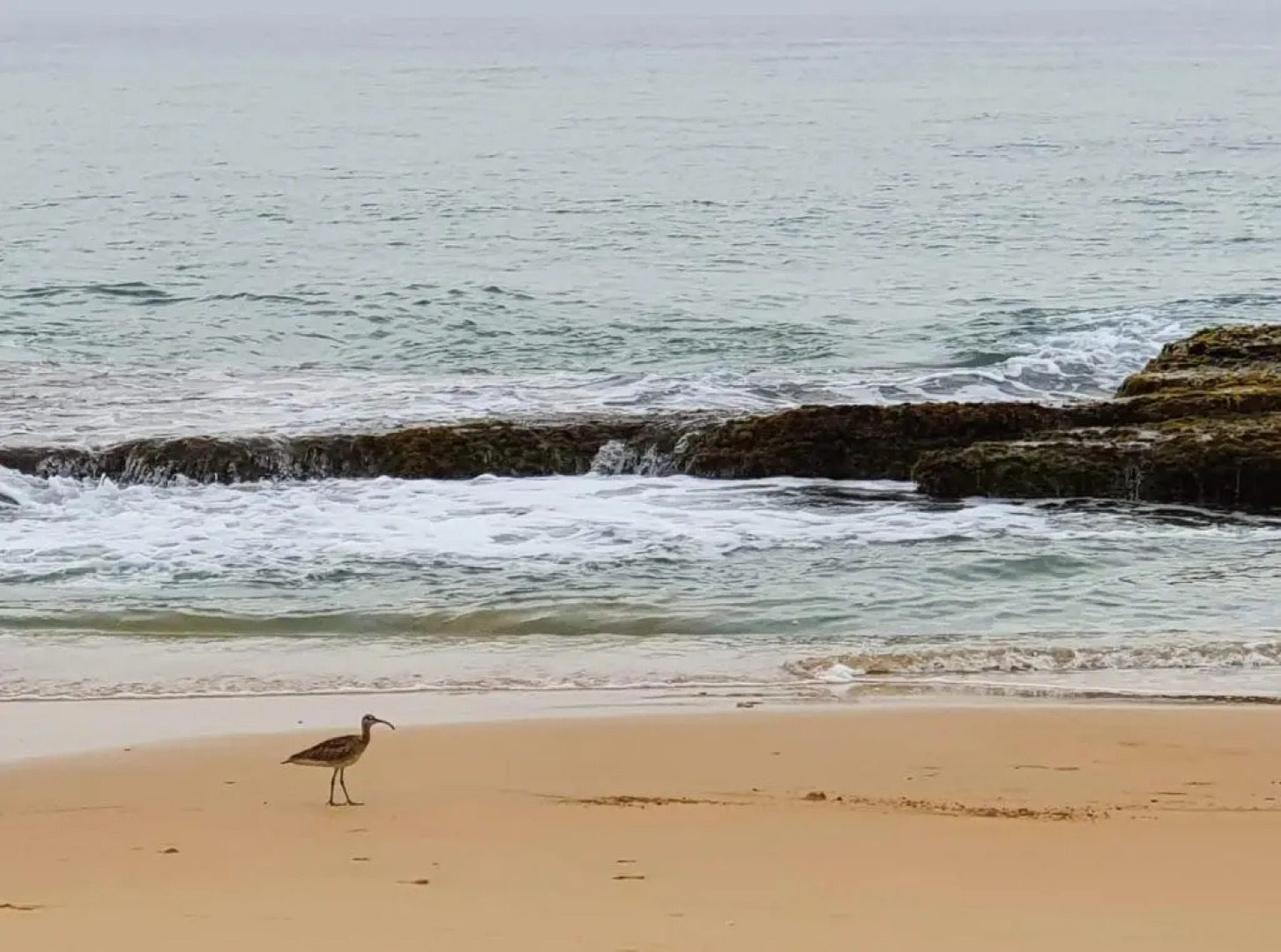 Paradise Ocean Homestay