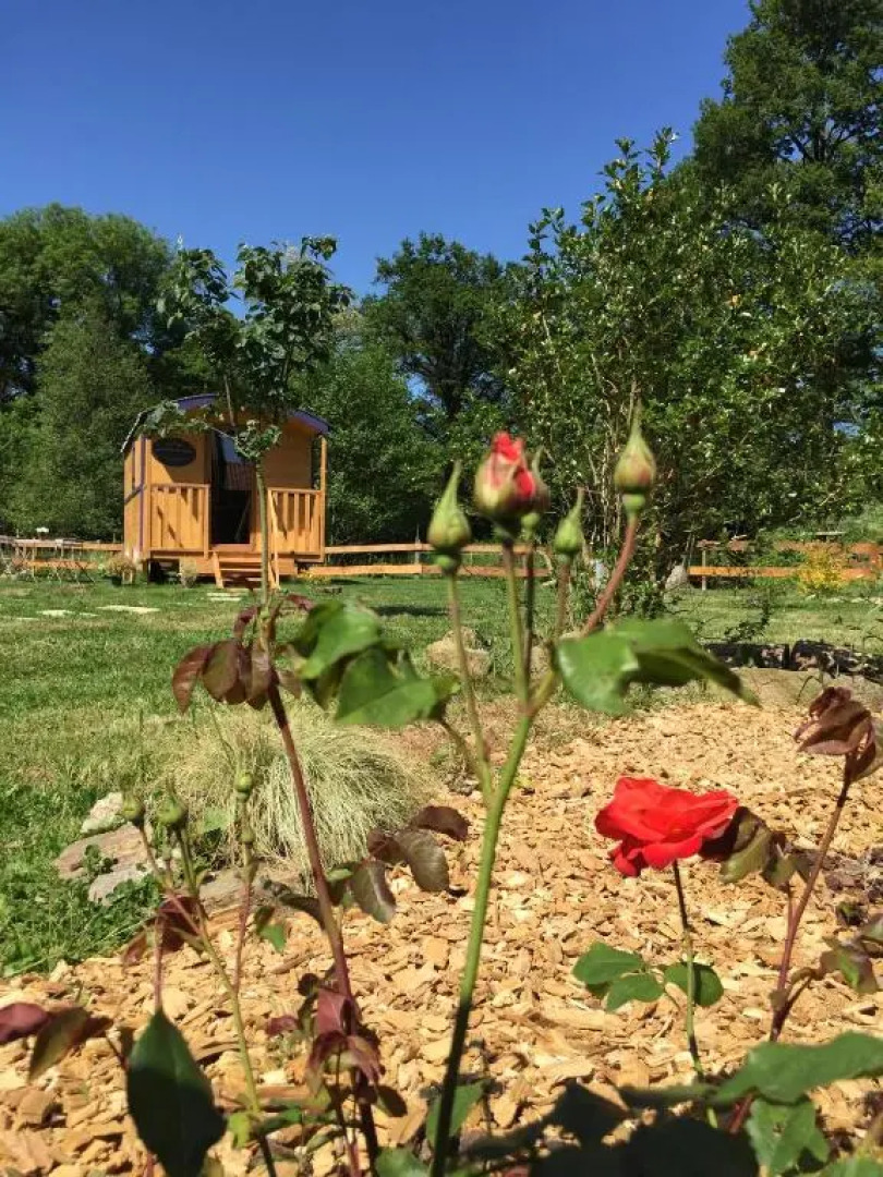 Les Roulottes De La Basse Maunerie