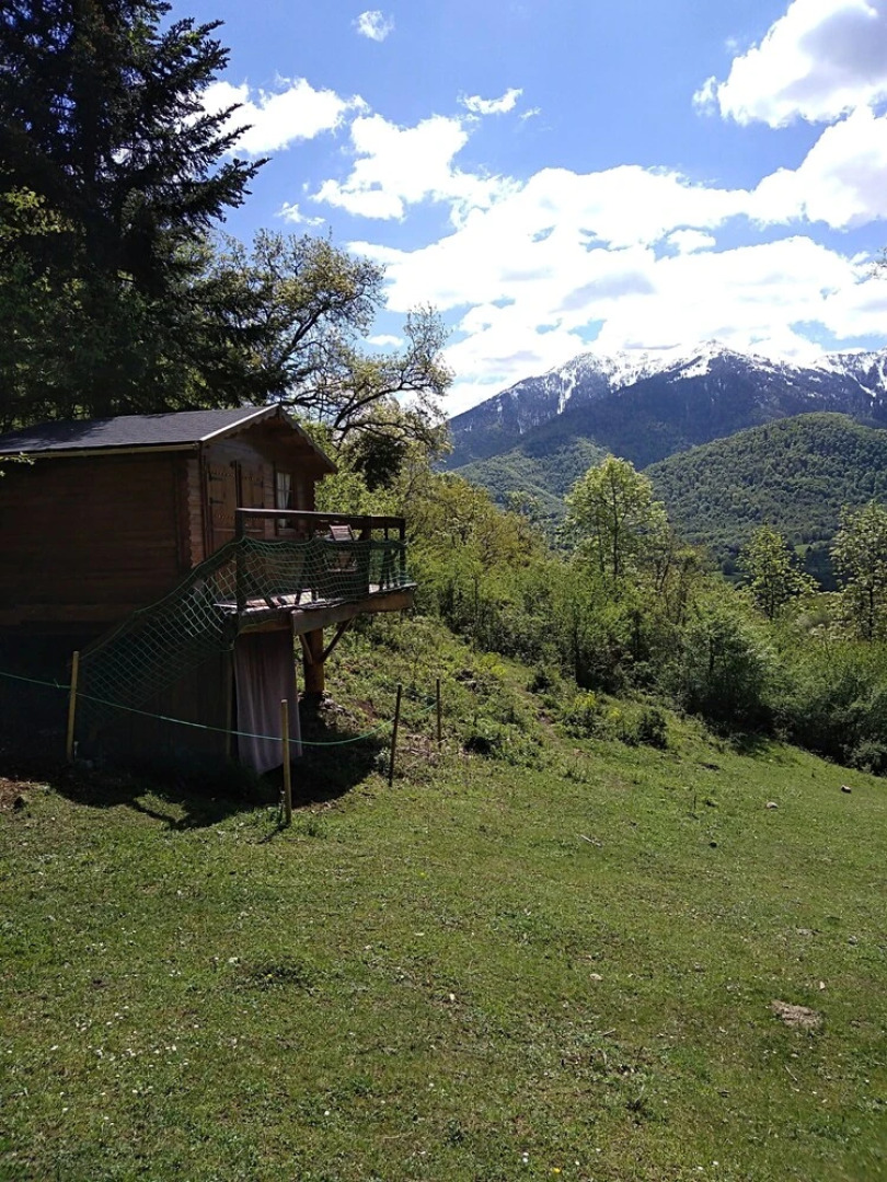 Les Insolites d'Eljie