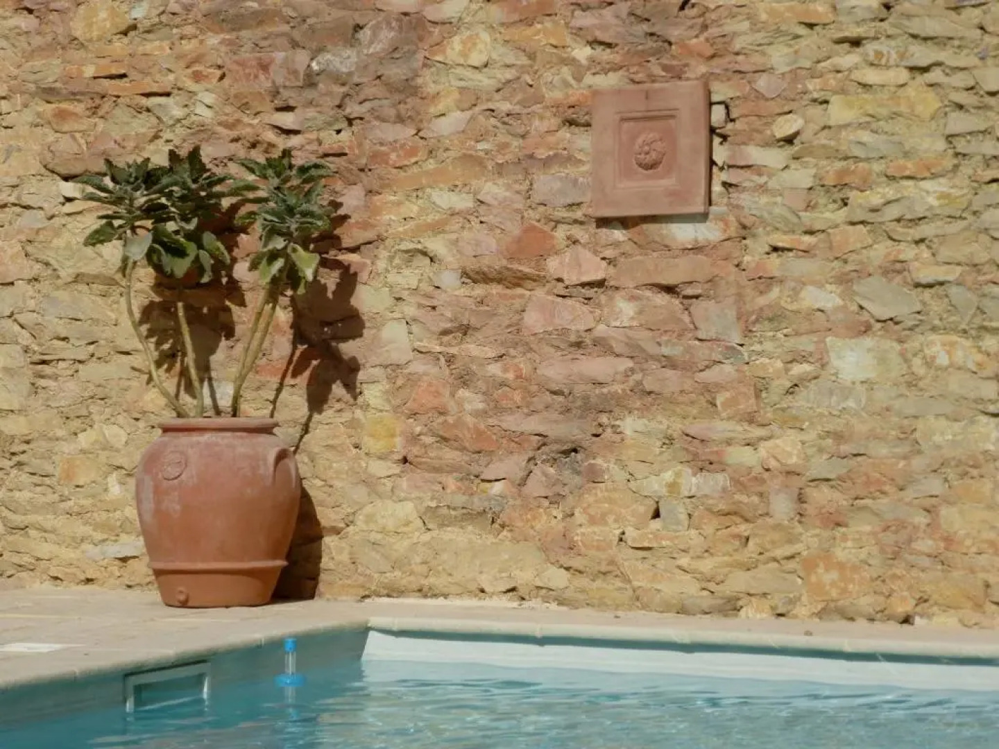 L'Enclos du Micocoulier