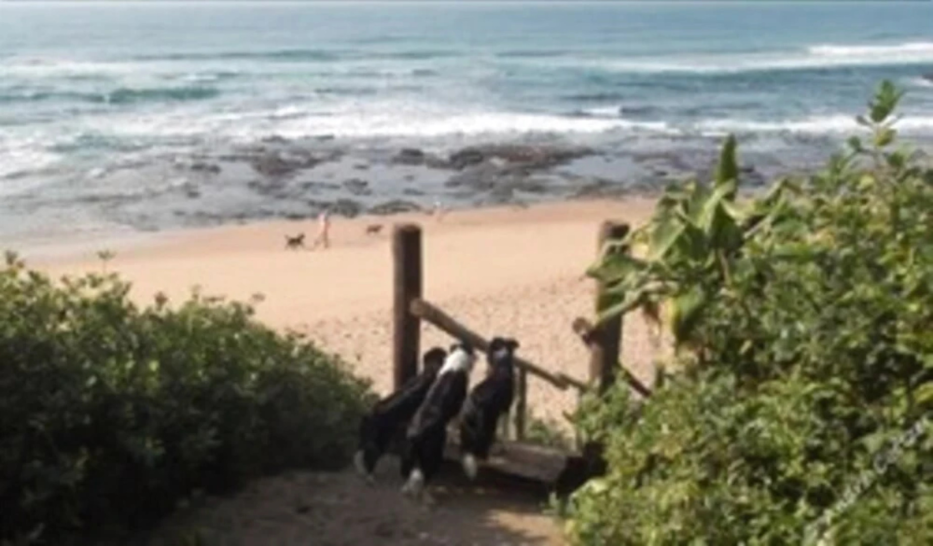 Cecelia's Holiday Manor