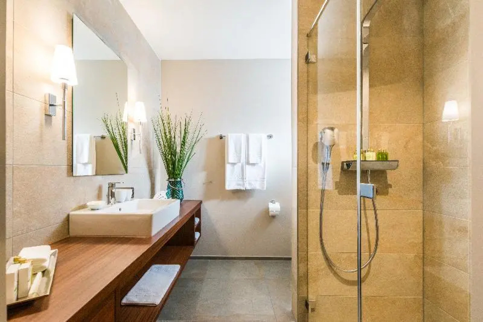 Luxury Villa – Deltapark