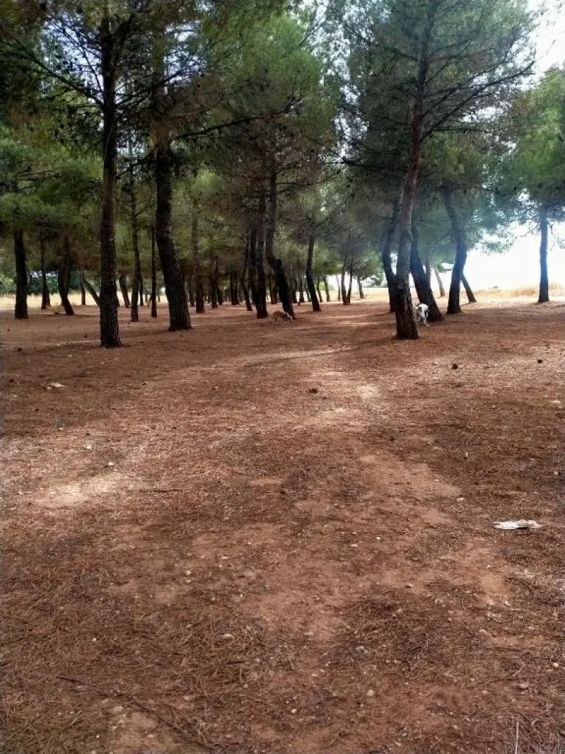 El Refugio Bed & Breakfast