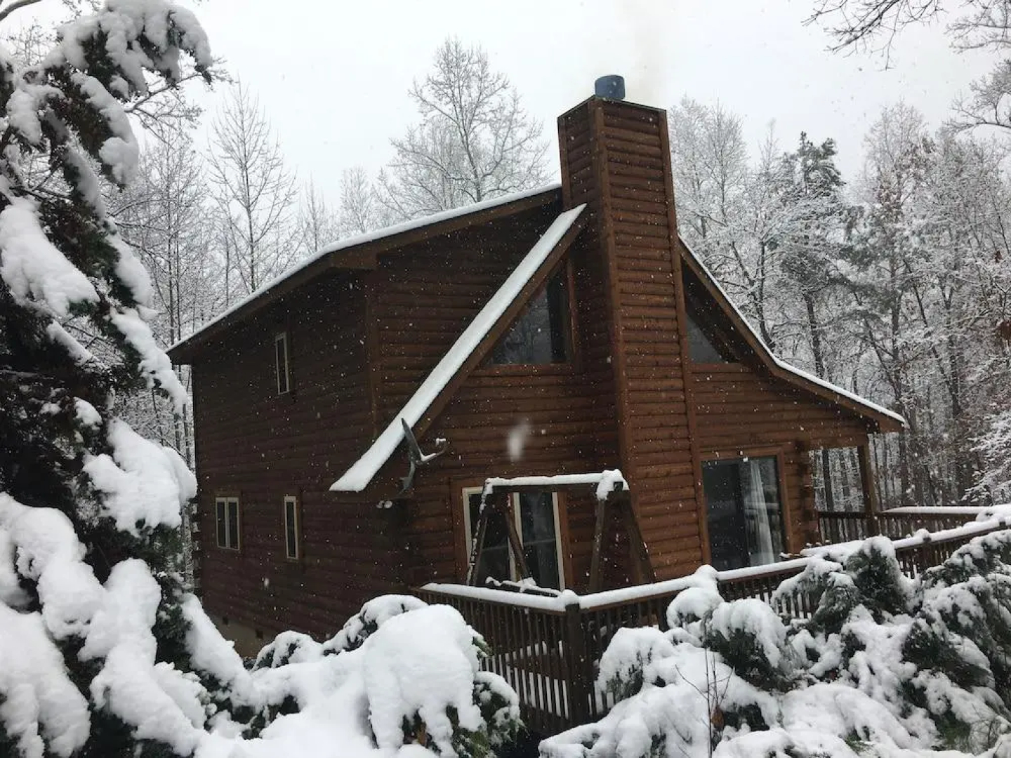 Horseshow Hideaway – Pet Friendly Cabin, 7 Minutes to TIEC