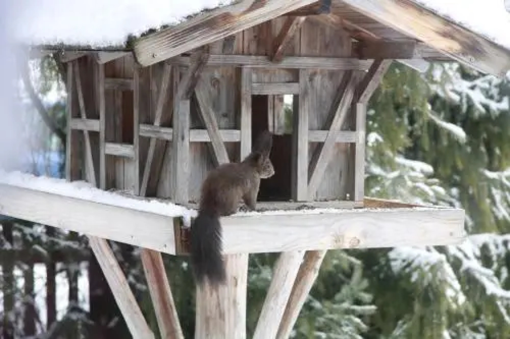 Gästehaus Sonnenheim
