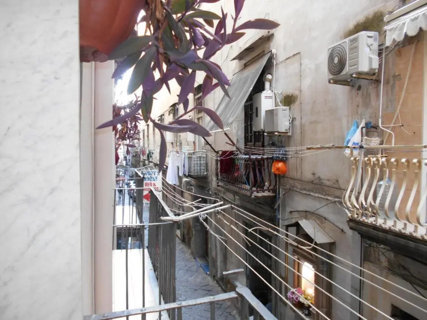 Robbys House Bed & Breakfast