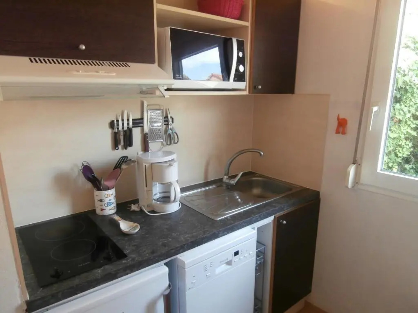 Maison Vieux-Boucau-les-Bains, 2 pièces, 4 personnes - FR-1-239-383