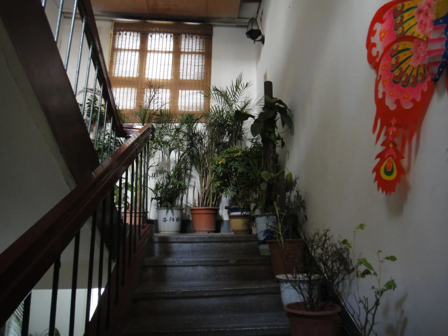 Xi'an The Facebook Youth Hostel