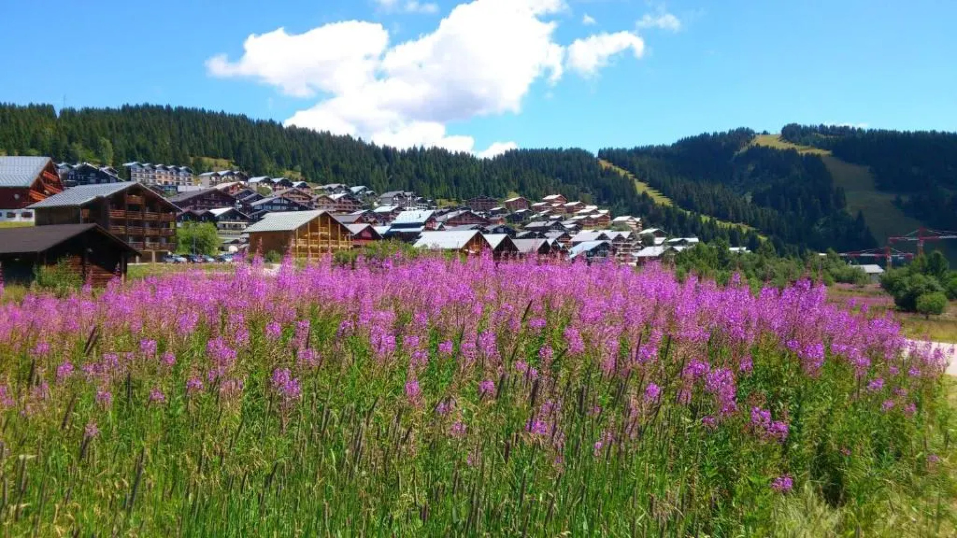 Résidence Reine Des Prés - Chalets Joguet
