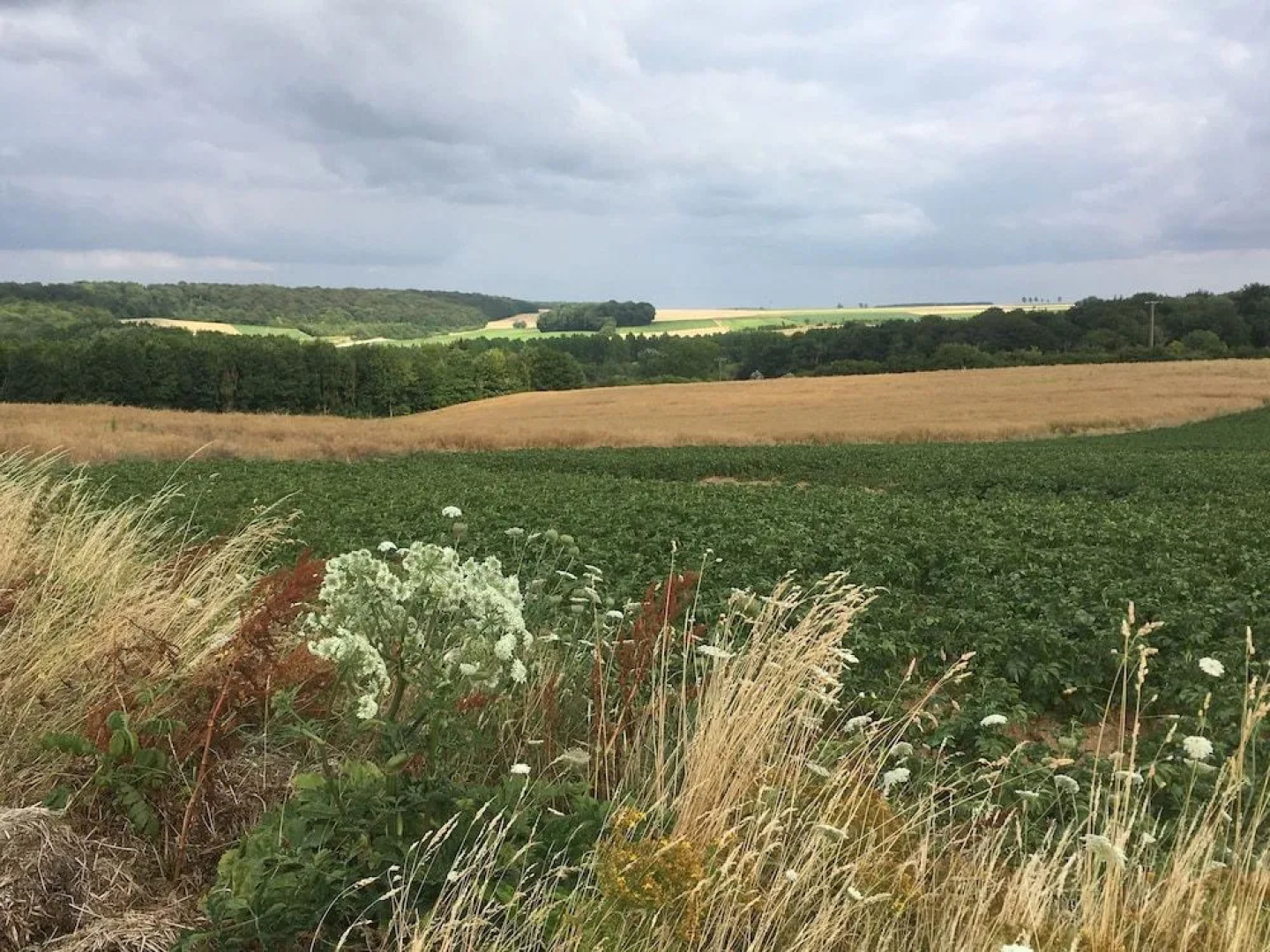 Le Jardin-chambres D'hôtes en Baie