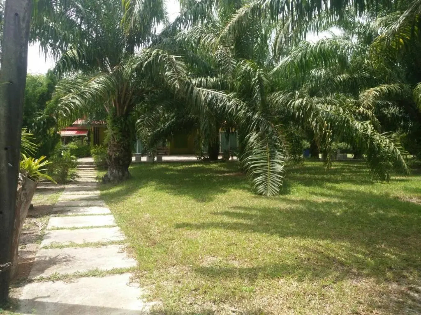 Baan Suan Nam Resort