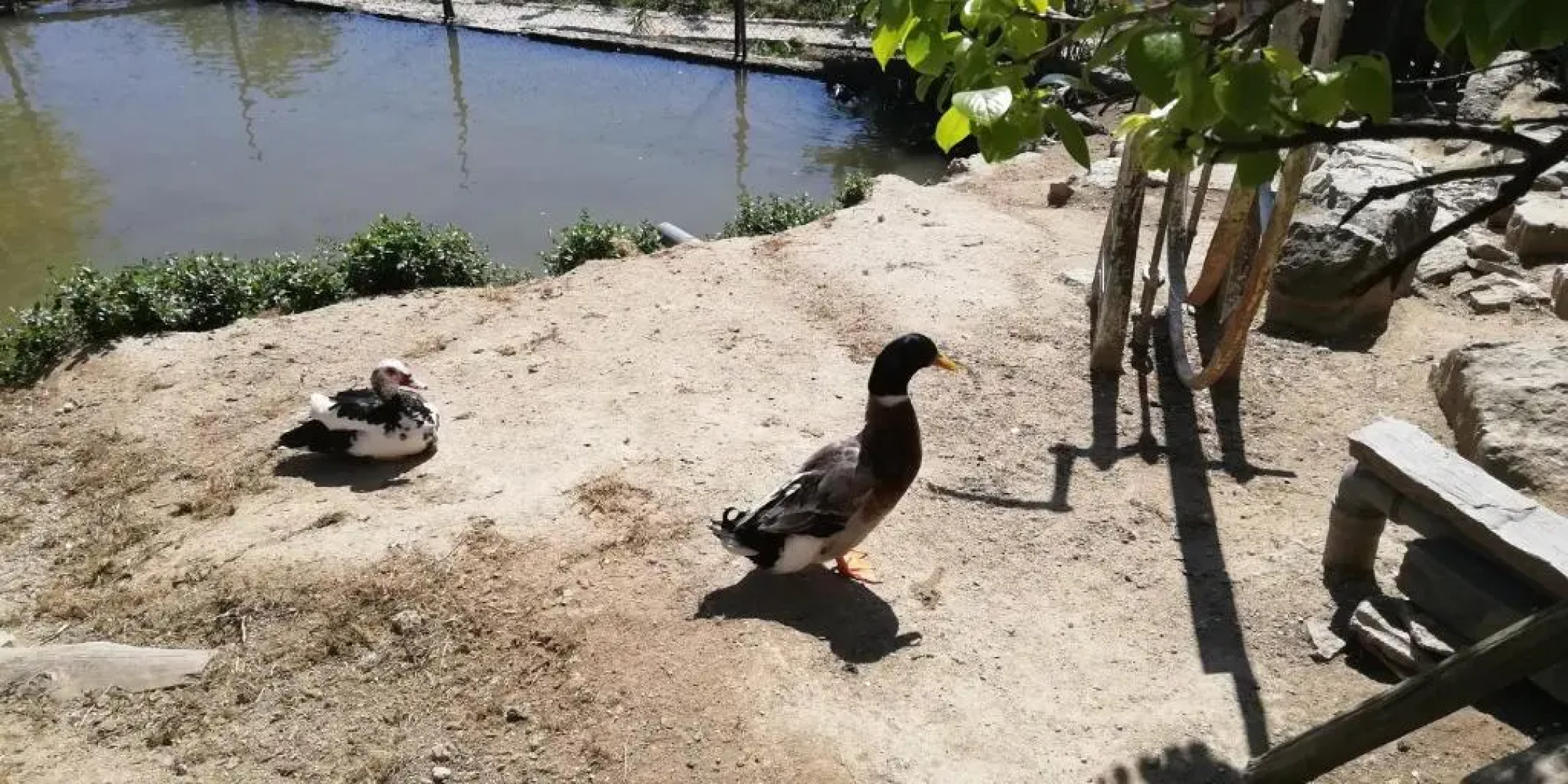 My Portugal for All - Lousada Villa