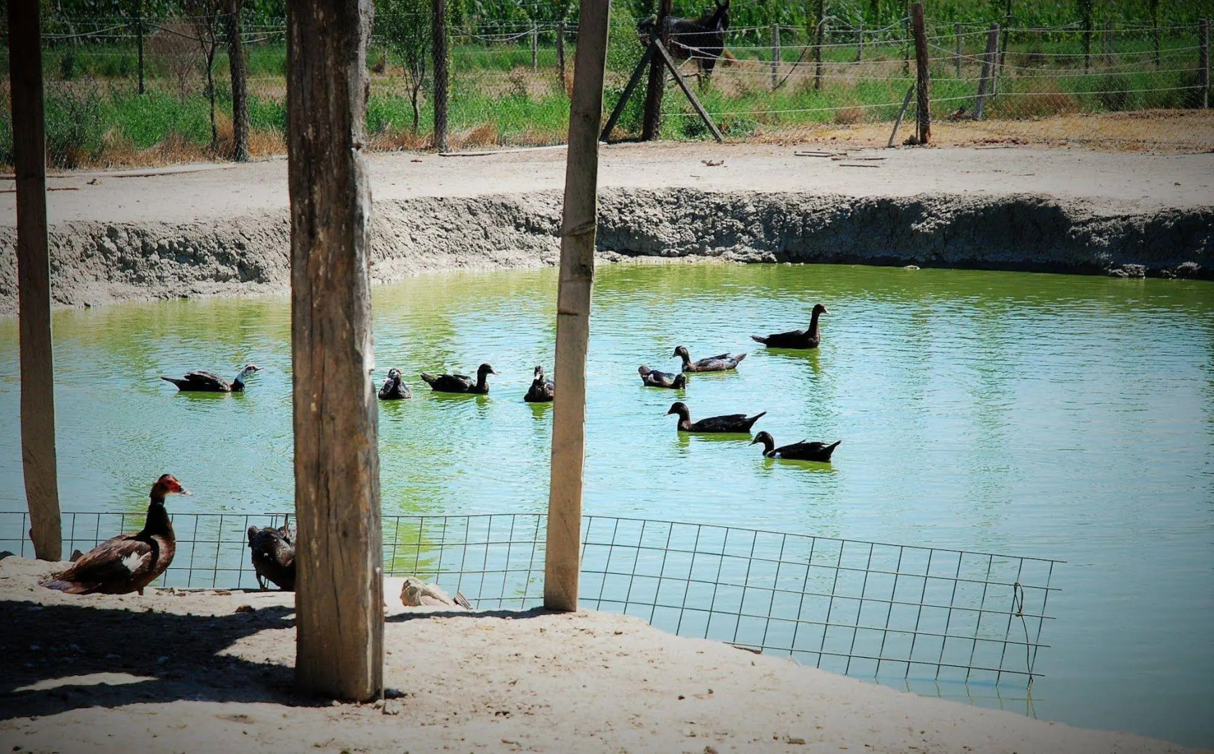 Agriturismo La Rocchetta