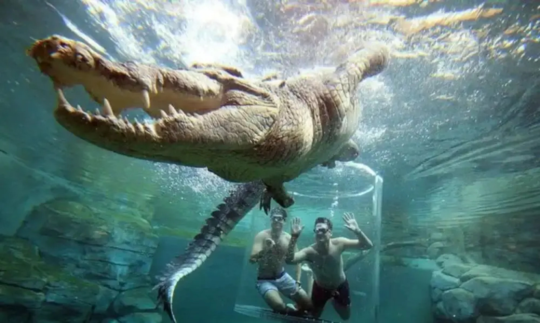 Zen Nest Cozy Lawn Minimalist