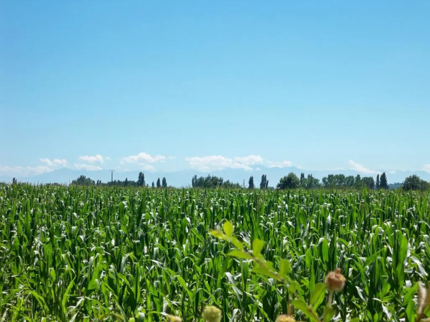 Gite 3 Logis Gascons