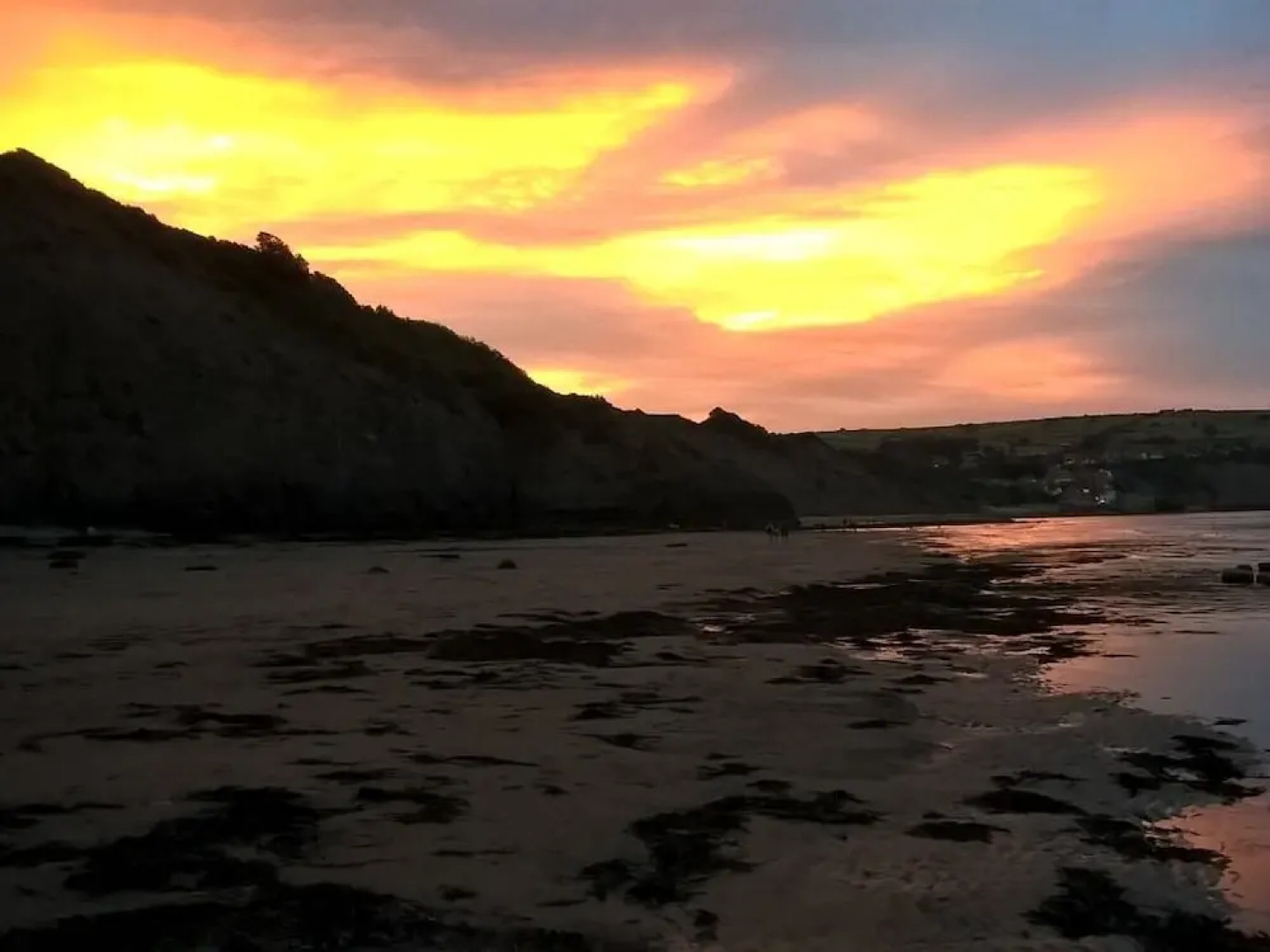 Thorpe Green House Vegetarian Bed and Breakfast