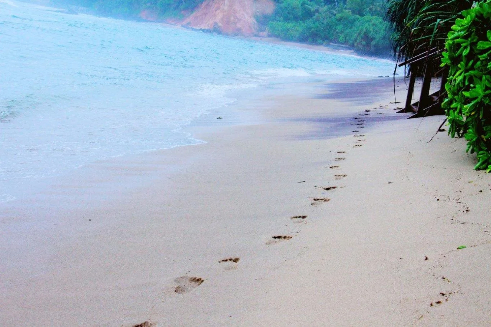 We Are Surfers hotel