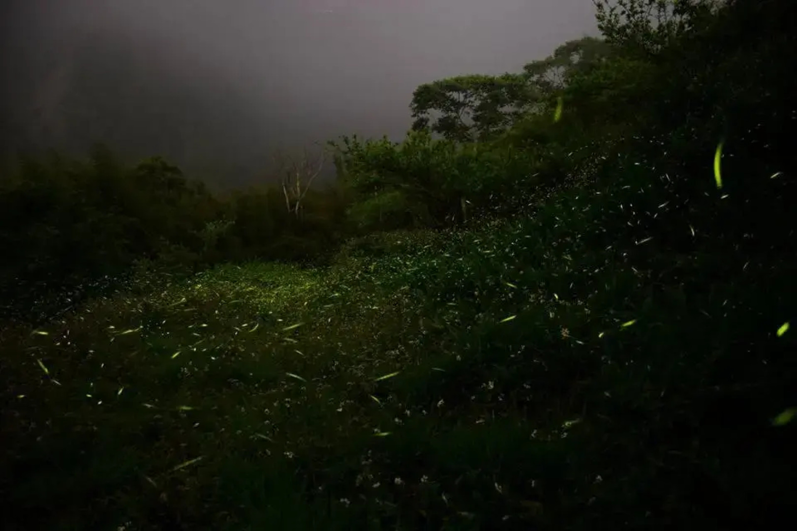 Walk Cloud Bed and Breakfast