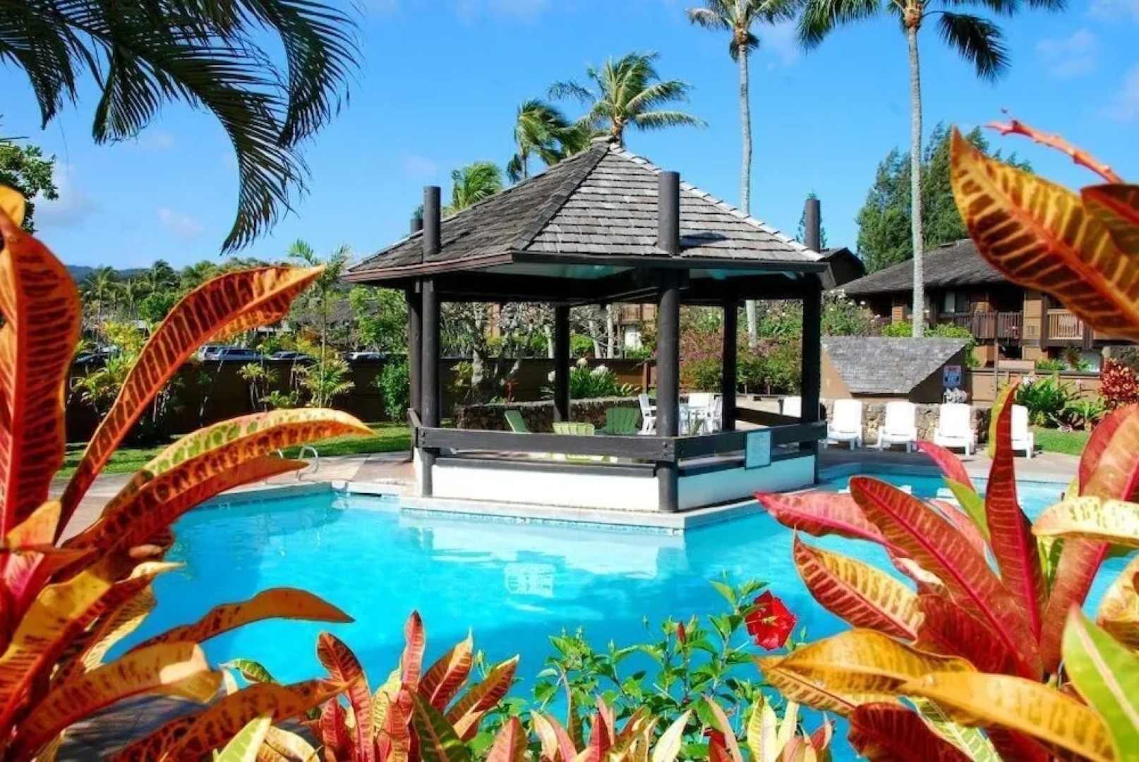 Turtle Bay Sea Shells**ta-154567065601 1 Bedroom Condo by RedAwning