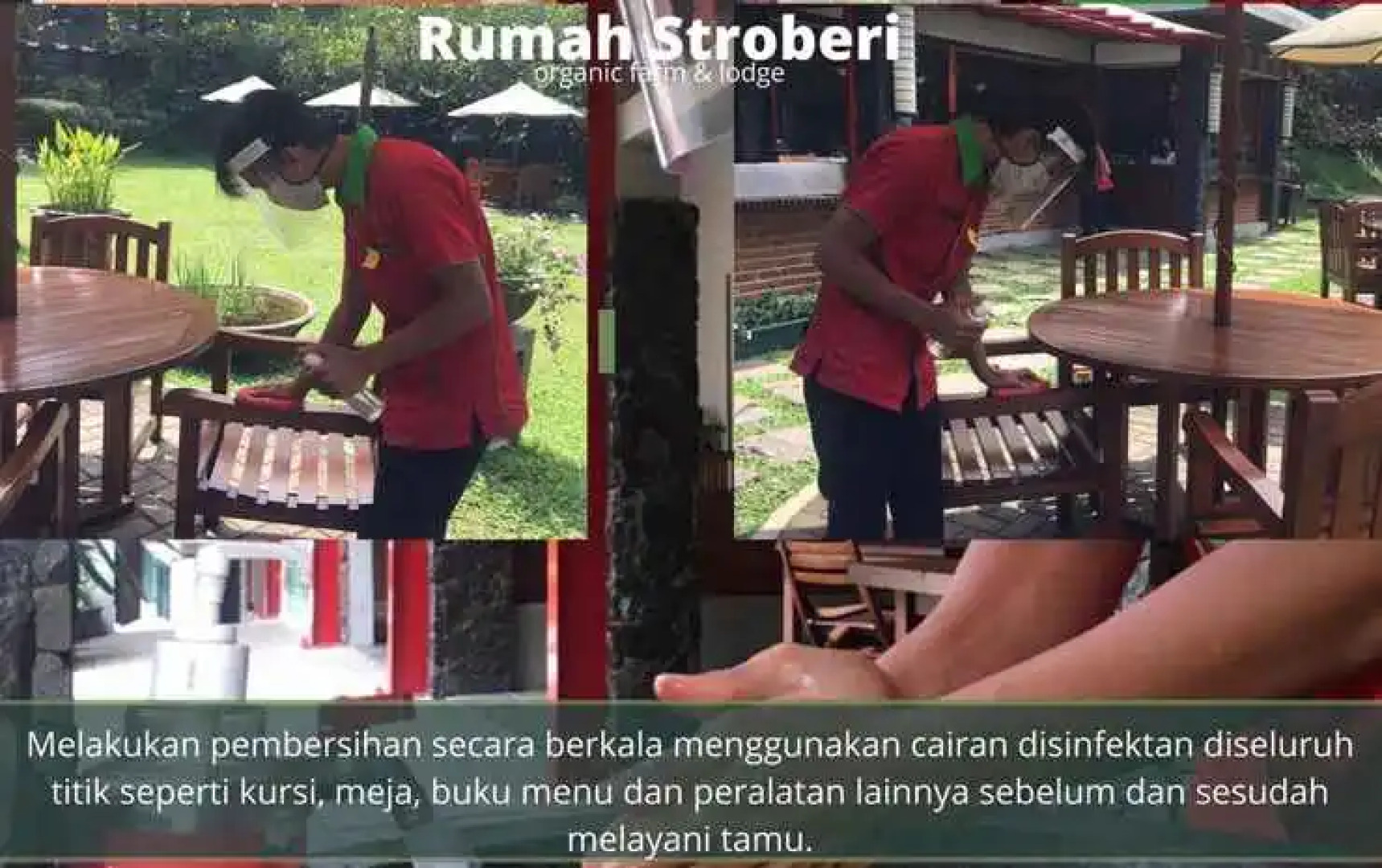 Rumah Stroberi Organic Farm and Lodge
