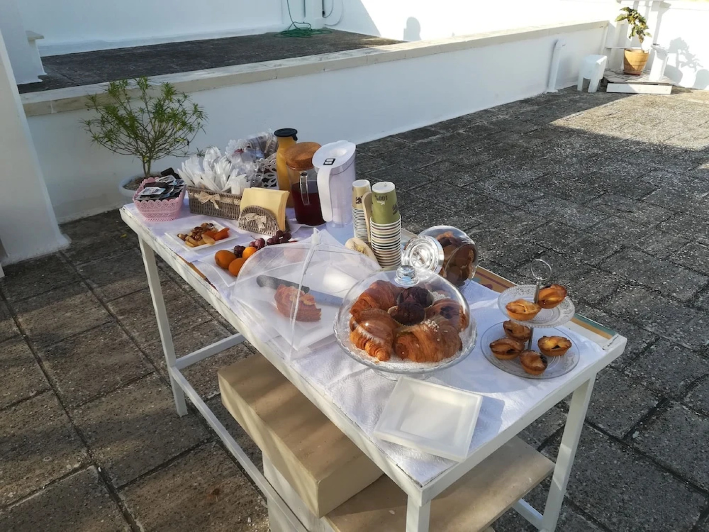 Organic Tribe Salento B&B