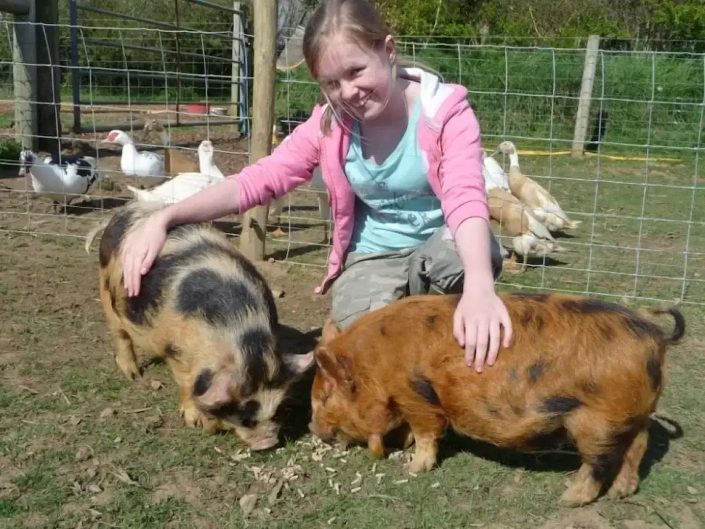 Birchill Farm Holiday Cottages