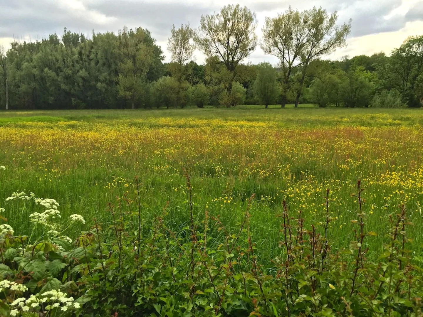 EIFELTRAUM Magma - enjoy the silence