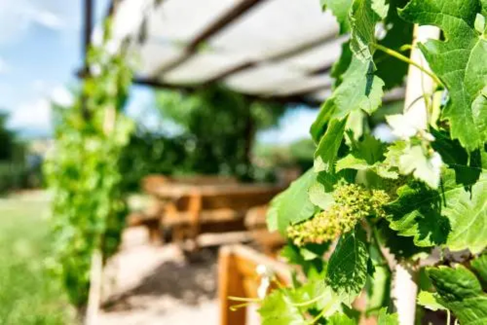 Casale Dei Mattonari