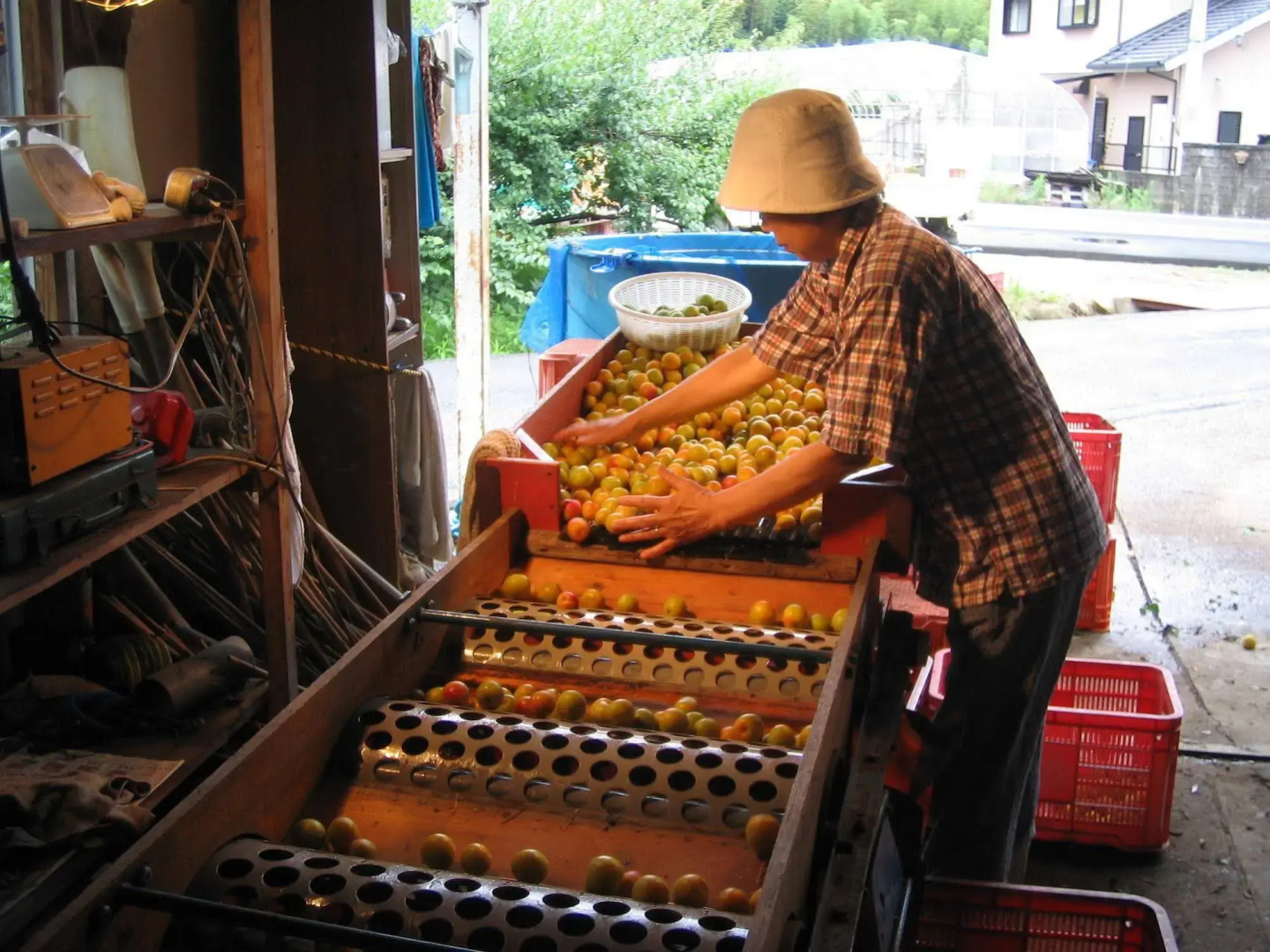 Nouka Minpaku Mirainouen