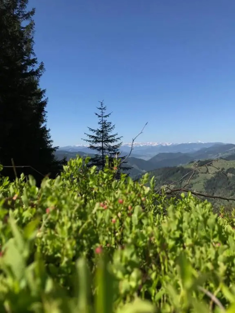 Вилла Перлына