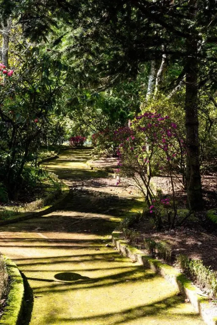 Quinta de Mourães Casa dos Rododendros