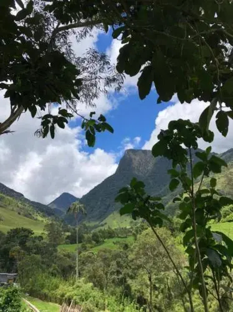 Cabañas Truchas Cocora