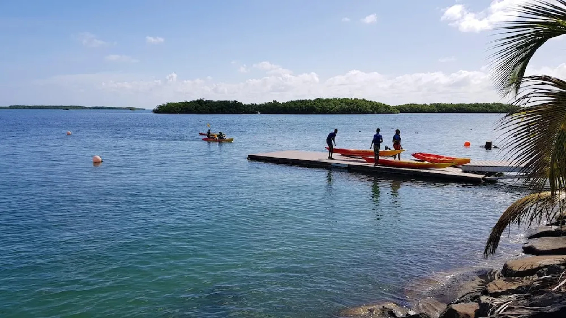 Studio in Bandol, With Furnished Terrace - 300 m From the Beach