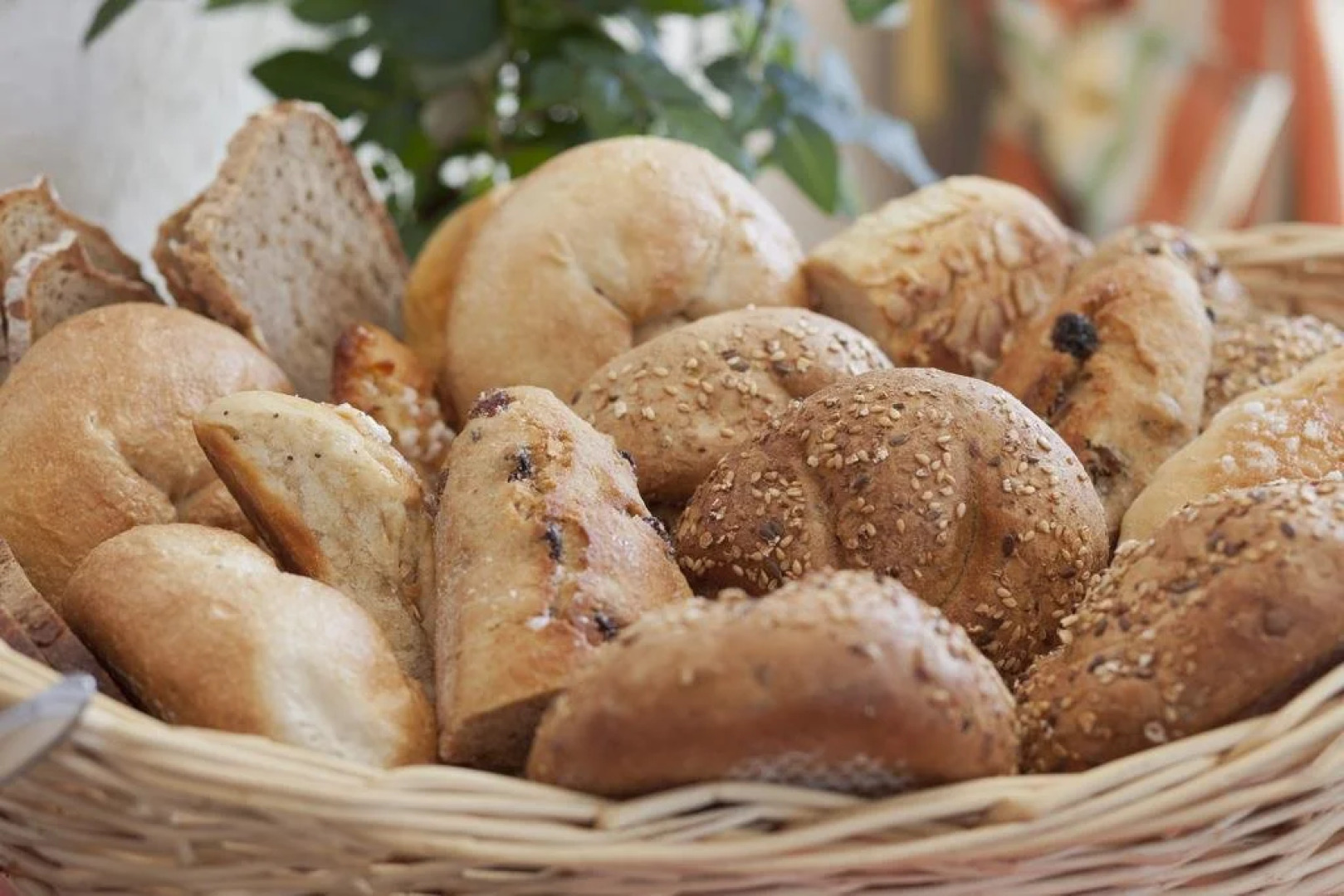 Alpine Residence Dachsteinperle