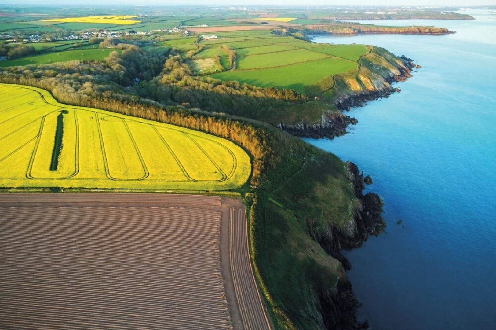 The Apple Store - 1 Bedroom Cottage - St Ishmael's