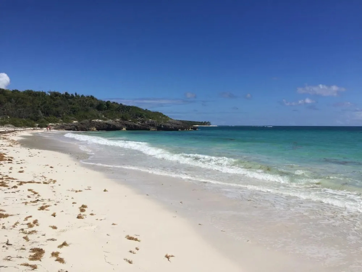 Vieques Hostel Good Vibe House