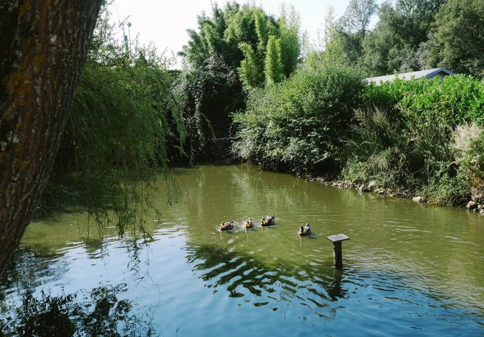 Domaine du Turbais - Chambres d'hôtes