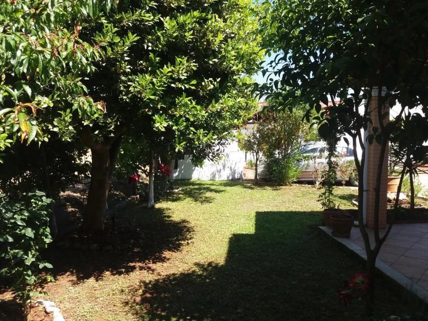 Semeli Hotel- Adults Only