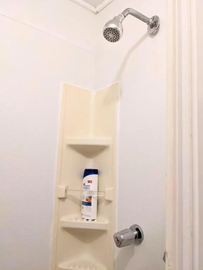 HISTORIC HILL APT2 (Downstairs)