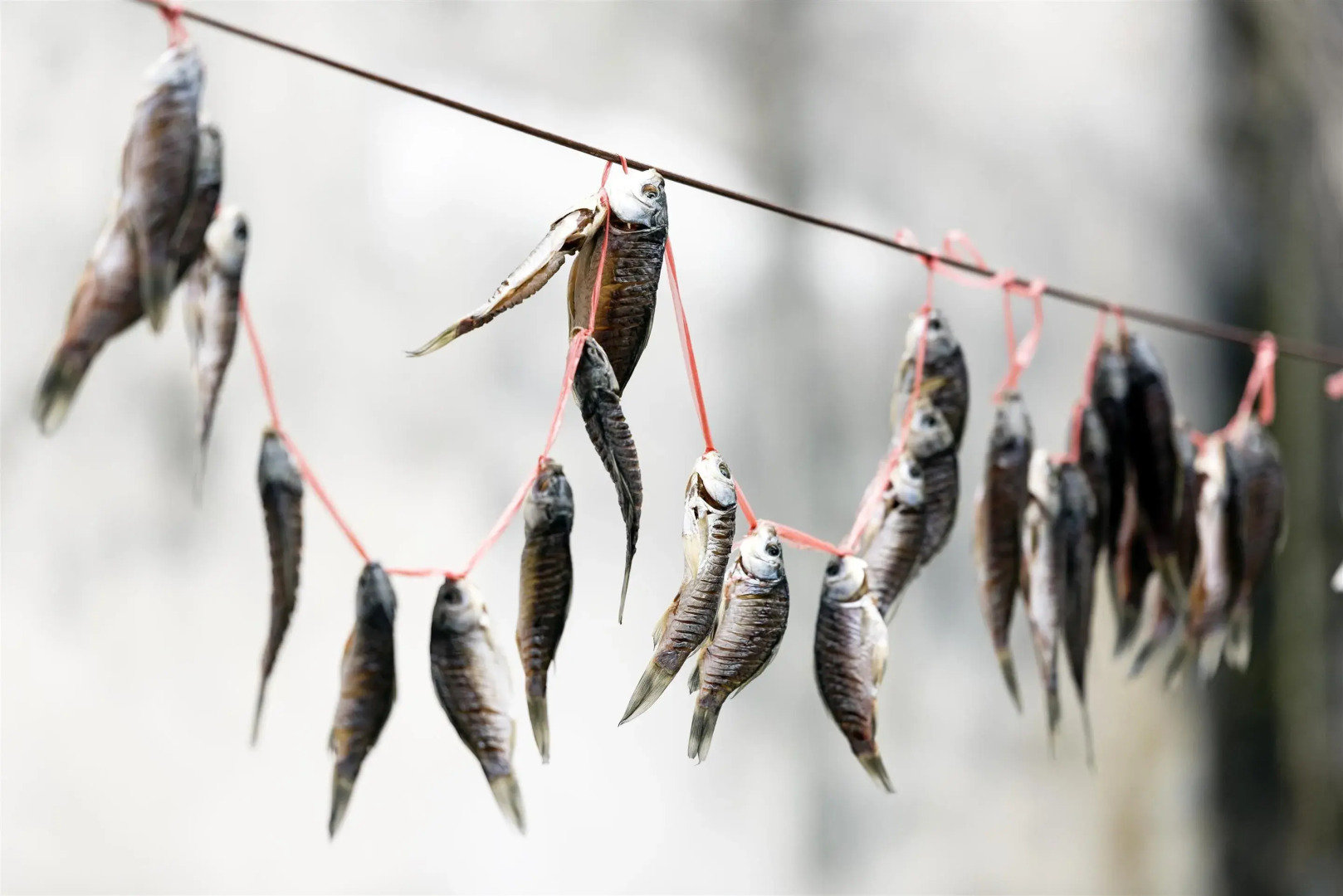 Sheraton Huzhou Taihu Lake Hot Spring Resort & Spa