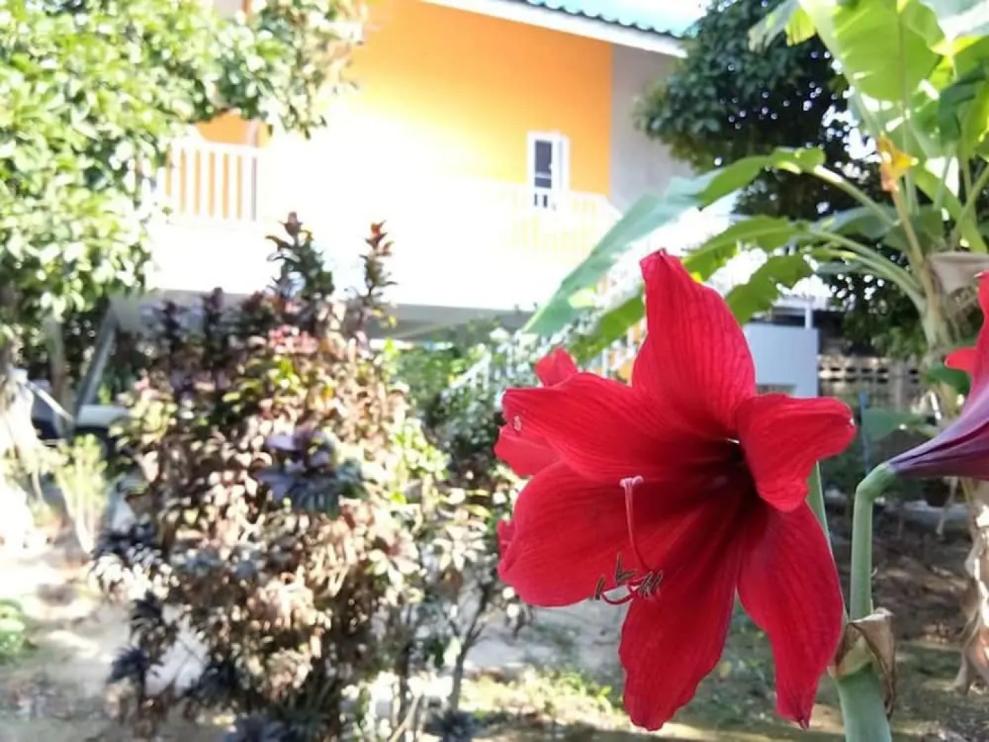 Baan Aranya Homestay - Khlung